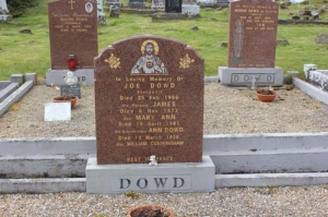 Dowd Joe Sheepwalk